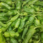 Pimiento de Padron