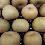 Manzana Reineta del Bierzo