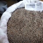 Lenteja Pardina de La Bañeza