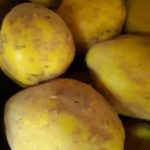 Membrillos de Bierzo