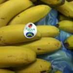 Platano natural de Canarias