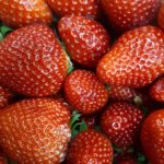 Freson de Palos Huelva