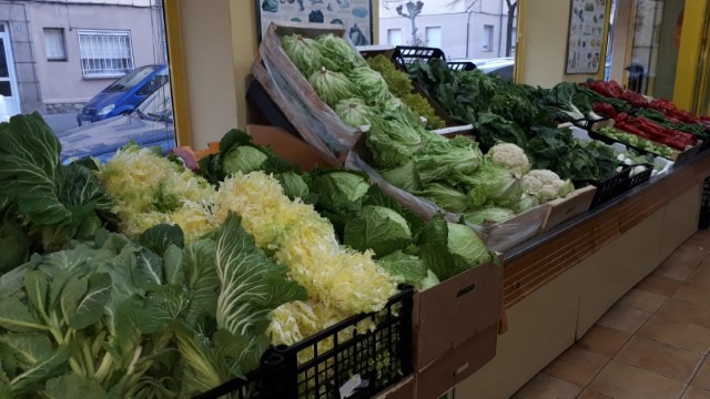 Verduras y hortalizas